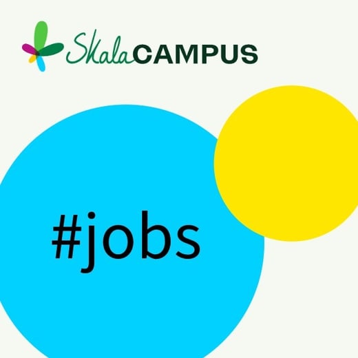 AZ-Newsletter-2-800x600 (1)